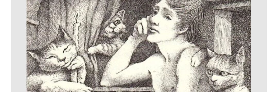 CarolynSLynch's profile banner image
