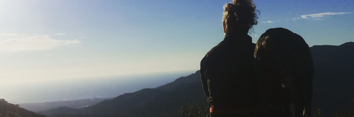 mfreiz's profile banner image