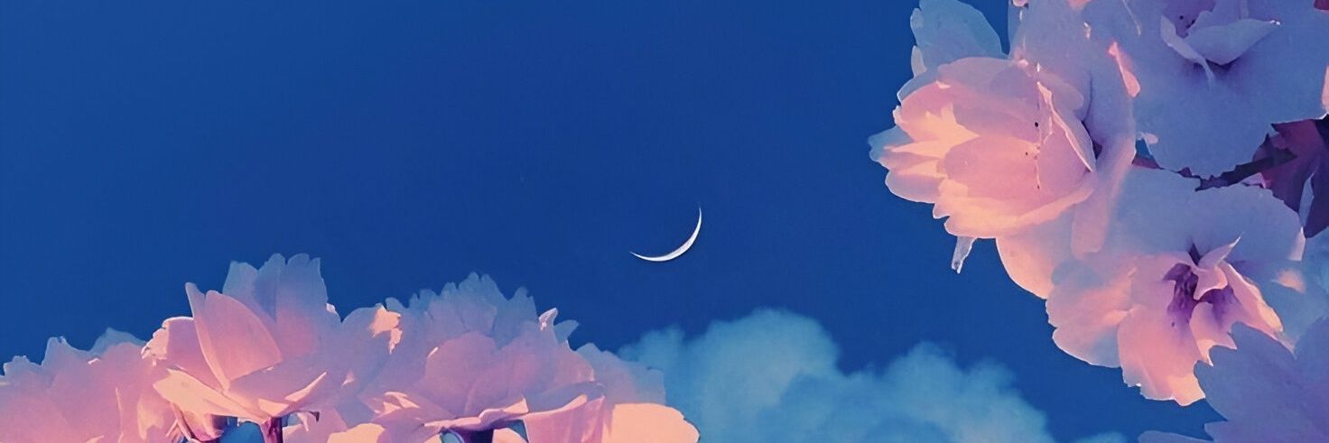 NBandicoot64's profile banner image