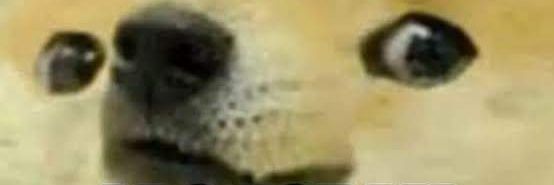 MaximumOffense's profile banner image
