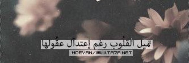 ilmojp1433's profile banner image
