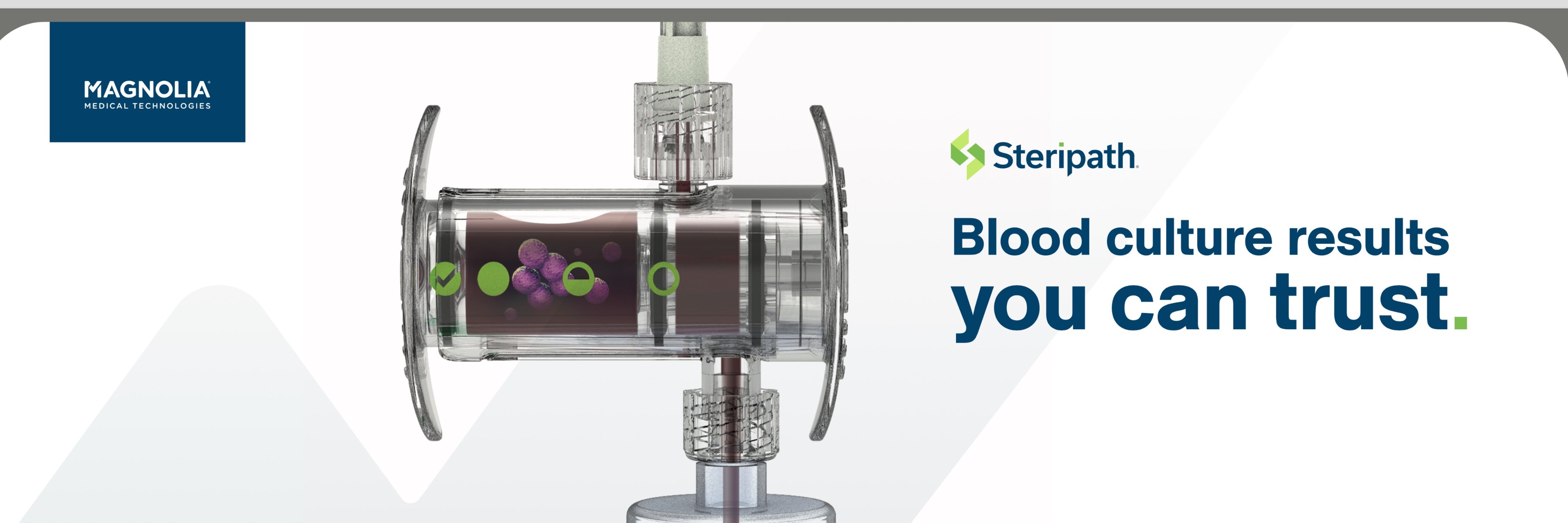 steripath's profile banner image