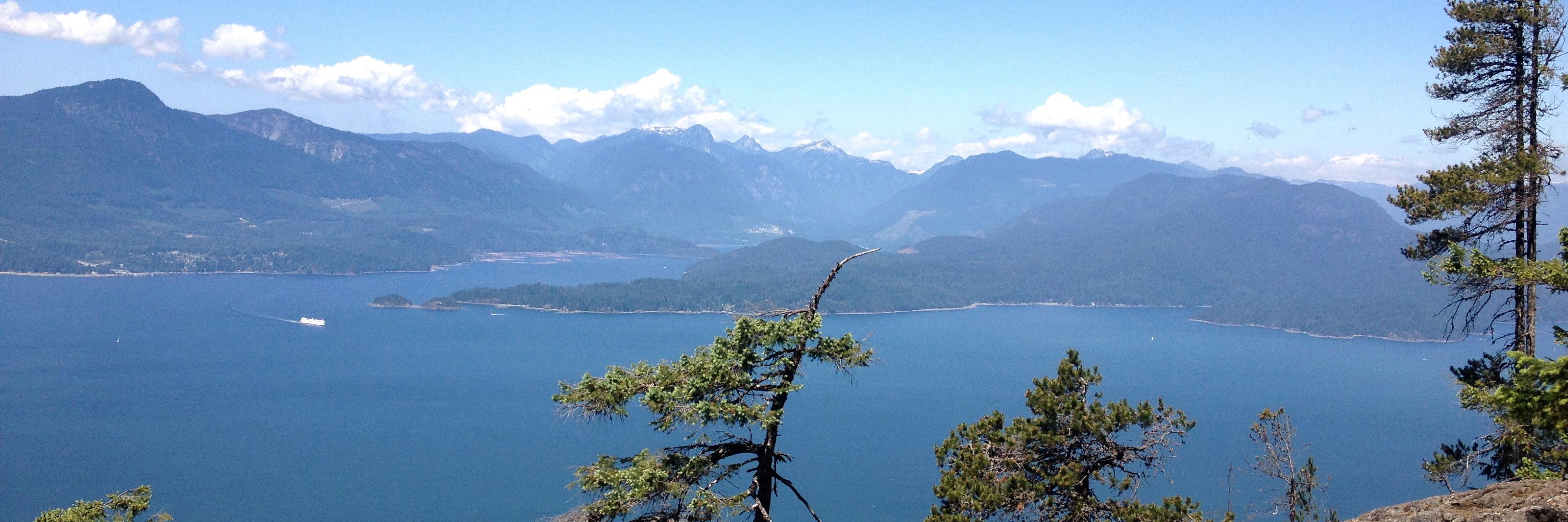 acadianpie's profile banner image