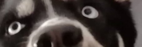 CVSTILLX's profile banner image