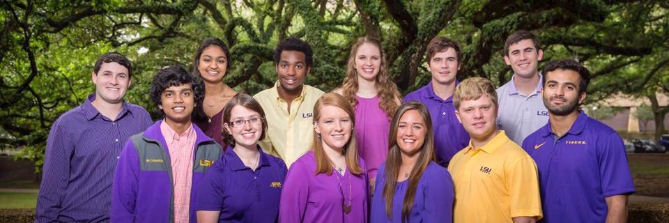 LSU Stamps Scholars banner