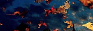 mttundyn's profile banner image