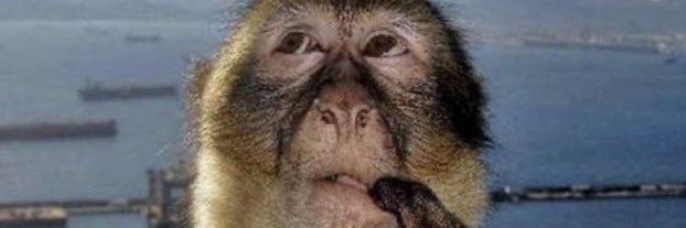 MO SALAH IS THE BEST PLAYER OF ALL TIME banner