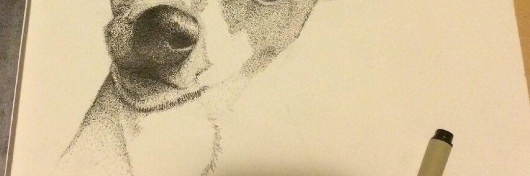 Dave banner