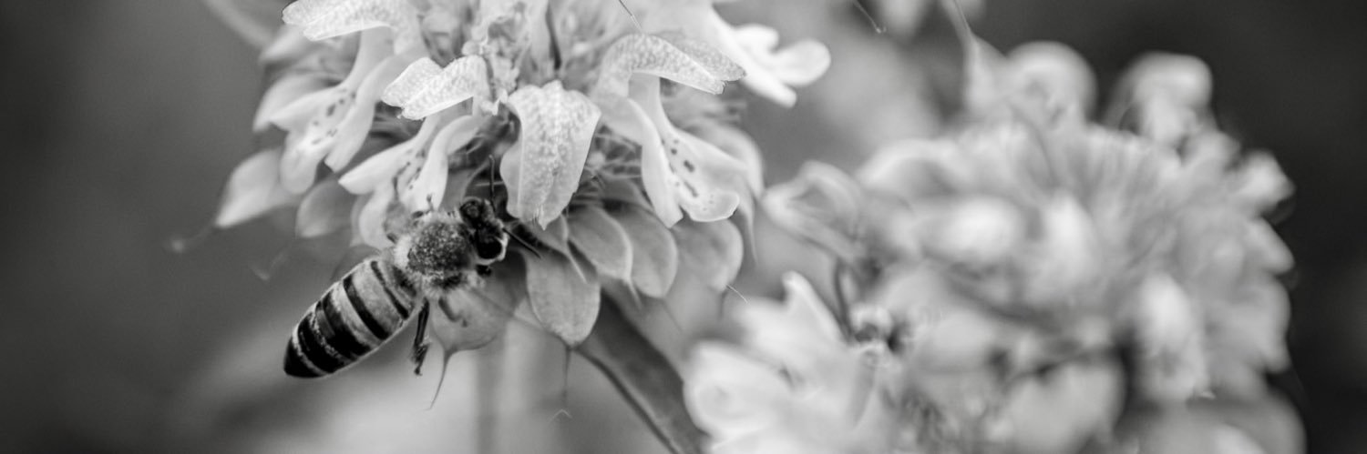 cingram79's profile banner image