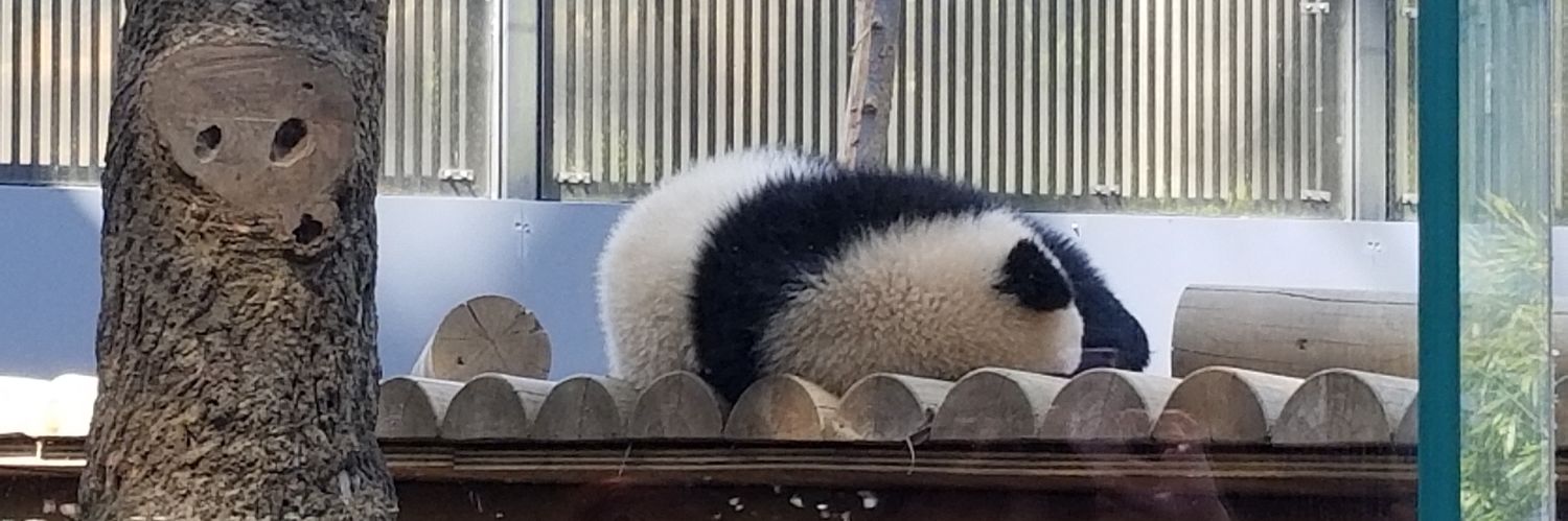 peegaaa's profile banner image