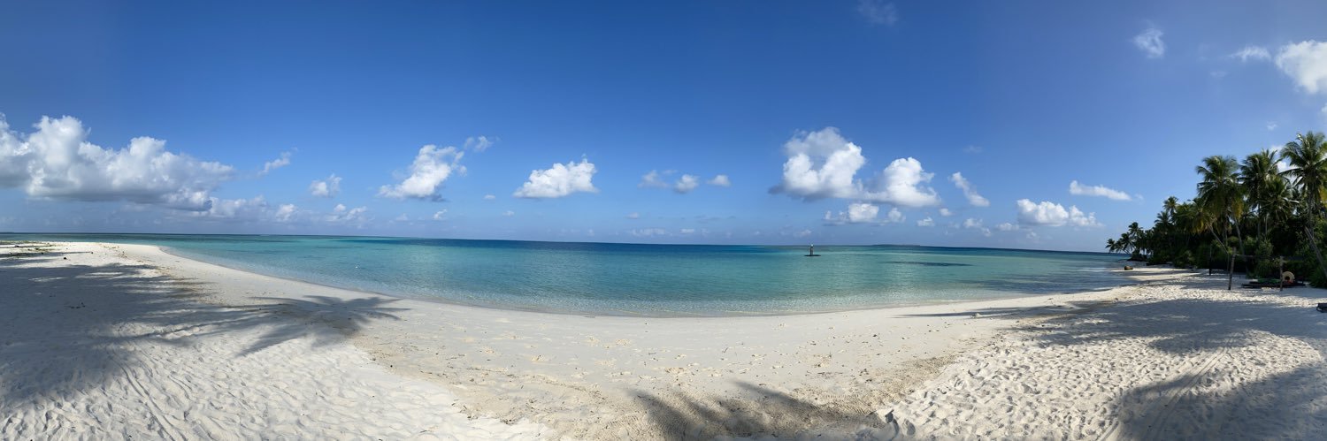 Siyar Bahadurzada banner