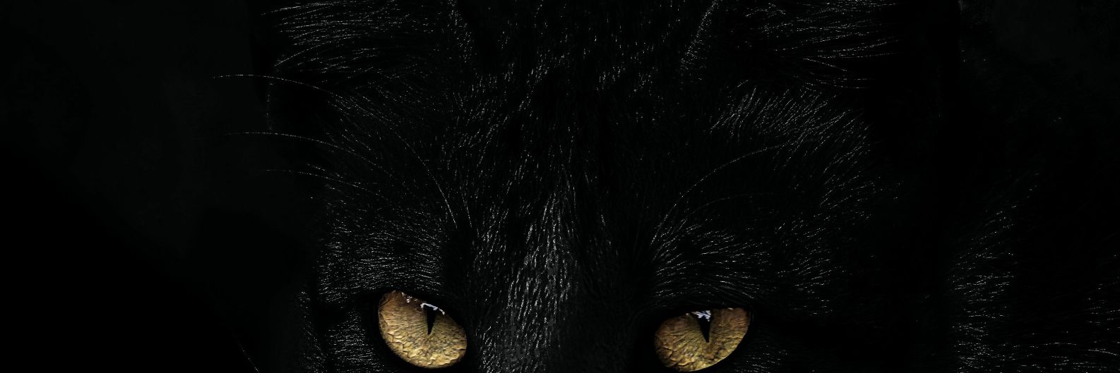 DrugXMusic's profile banner image