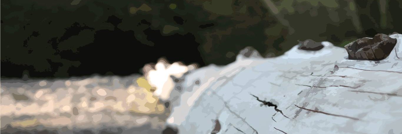 b_frates's profile banner image