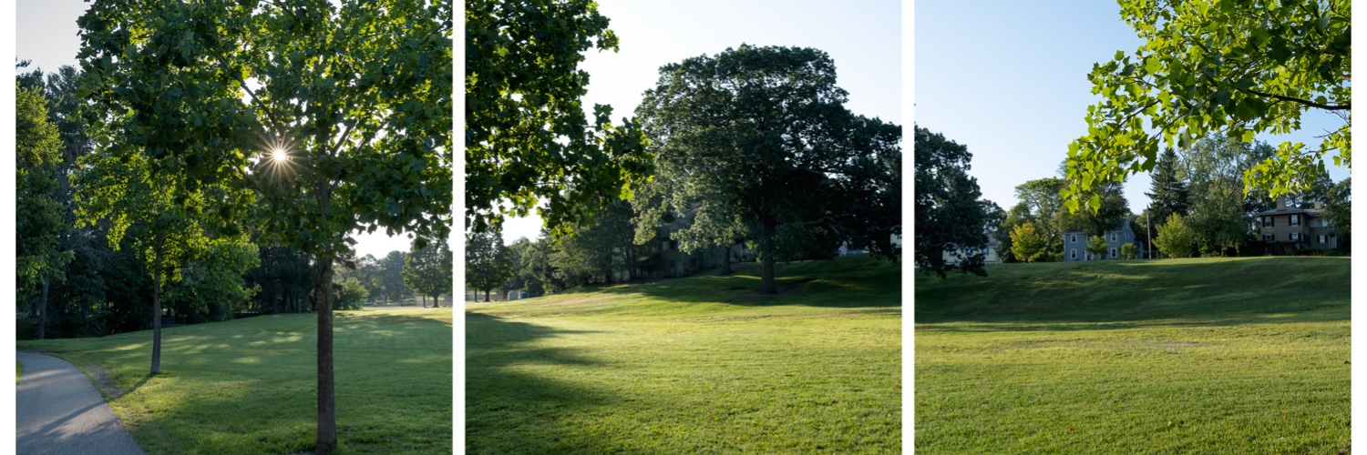 Daniel Jackson banner