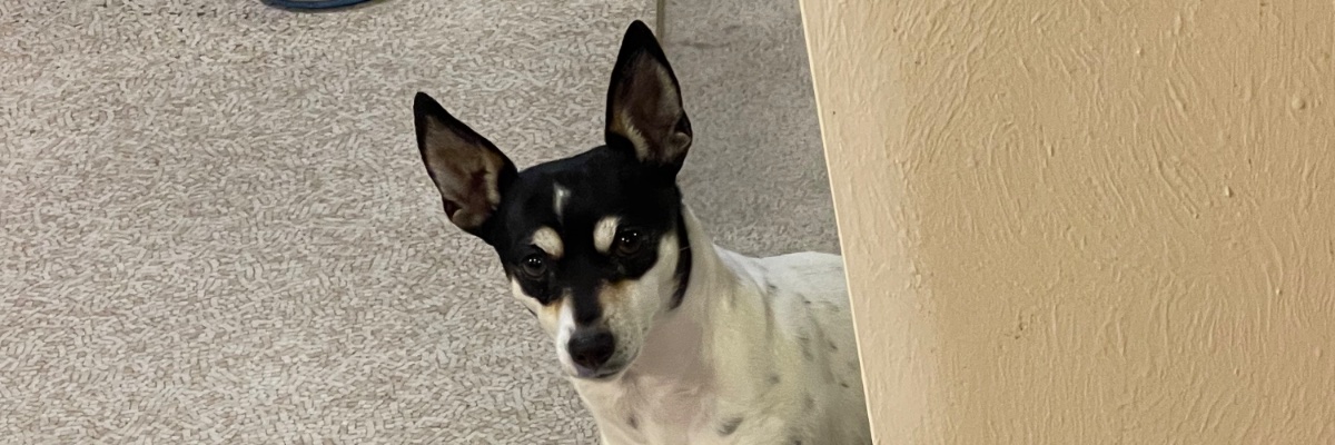 Points Northe banner