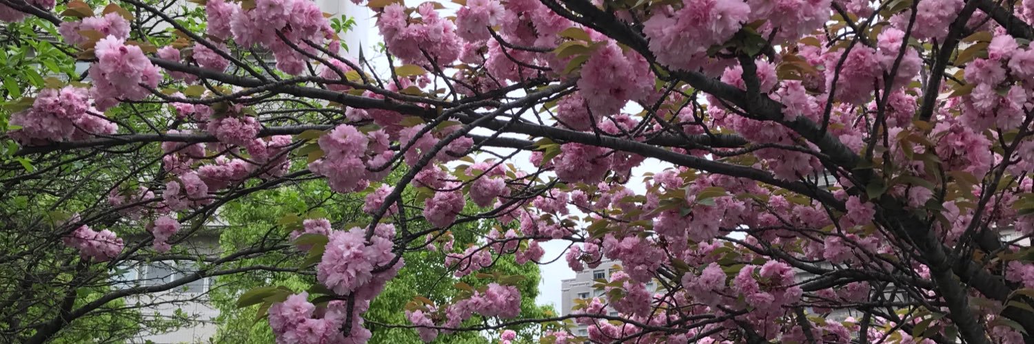 Joan Lafferty banner
