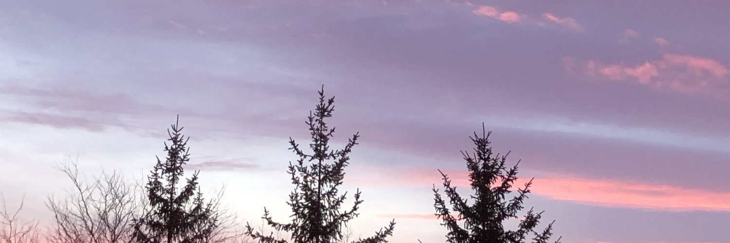 JuliaBrick's profile banner image