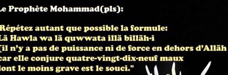 maaaliche's profile banner image