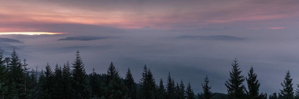 austiincross's profile banner image