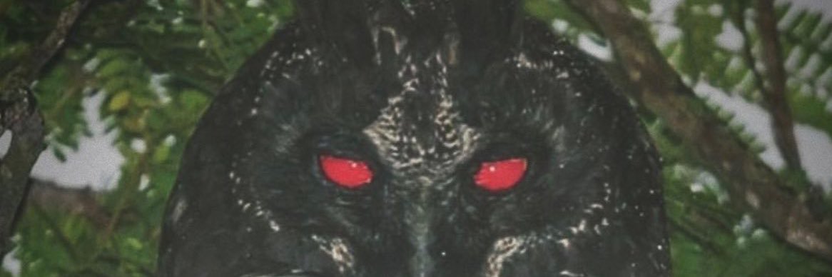 literallydeng banner