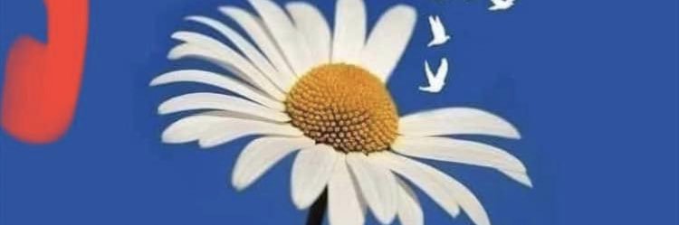 Billabista's profile banner image