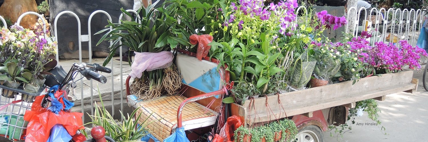 Wildlife Trade banner