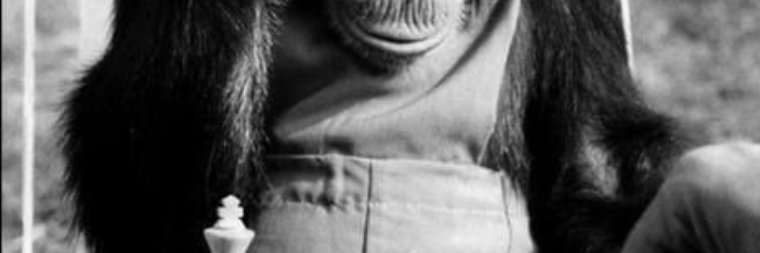 el_incr's profile banner image