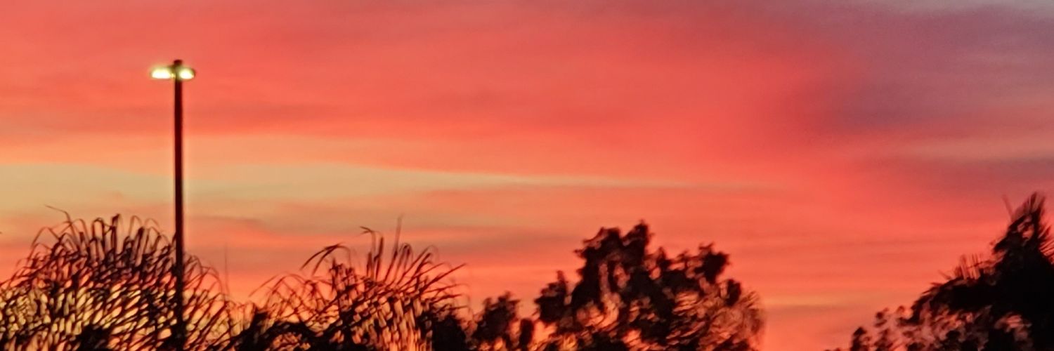 Celticdewmonkey's profile banner image