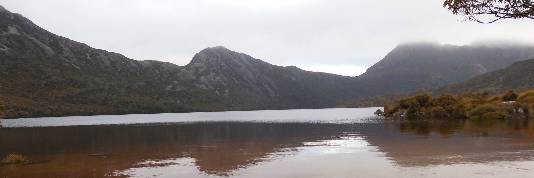 Dr Stephanie Chappel banner