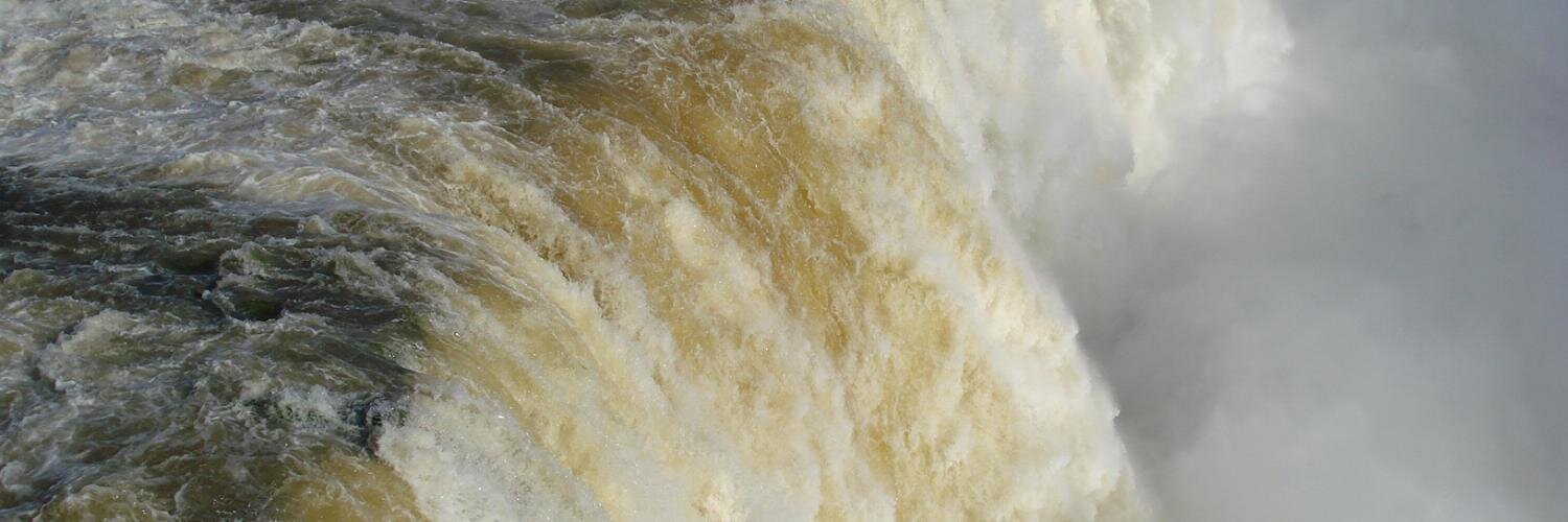 Giselle Pereira banner