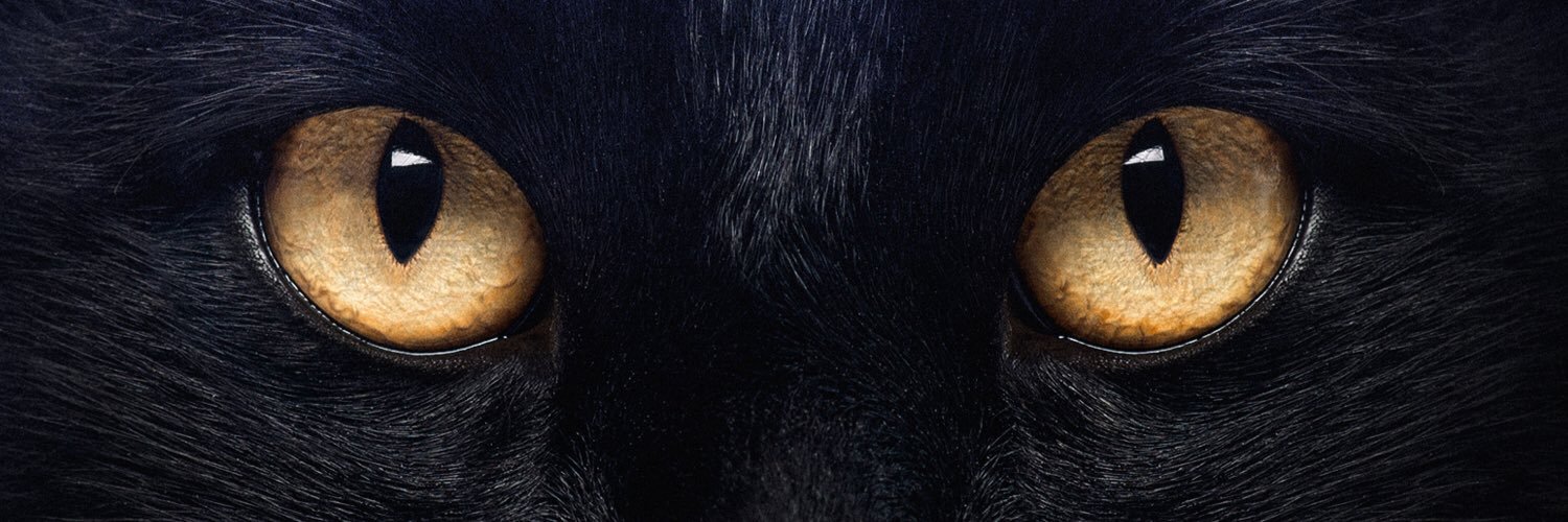 Heather Nanni banner