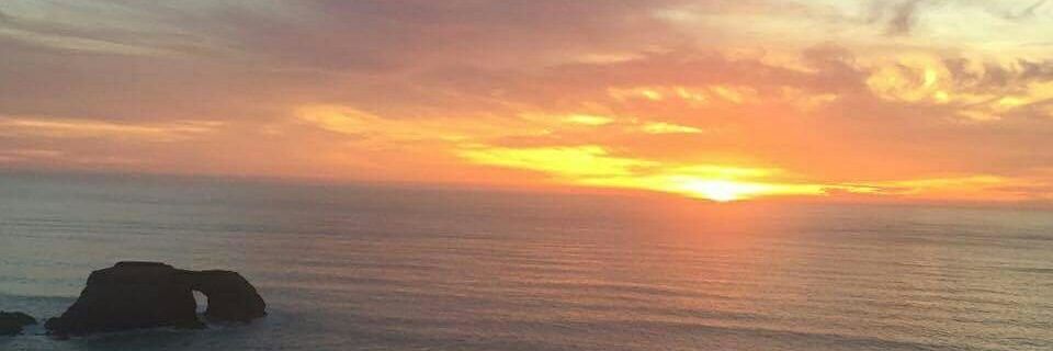 sweetsavannahb's profile banner image
