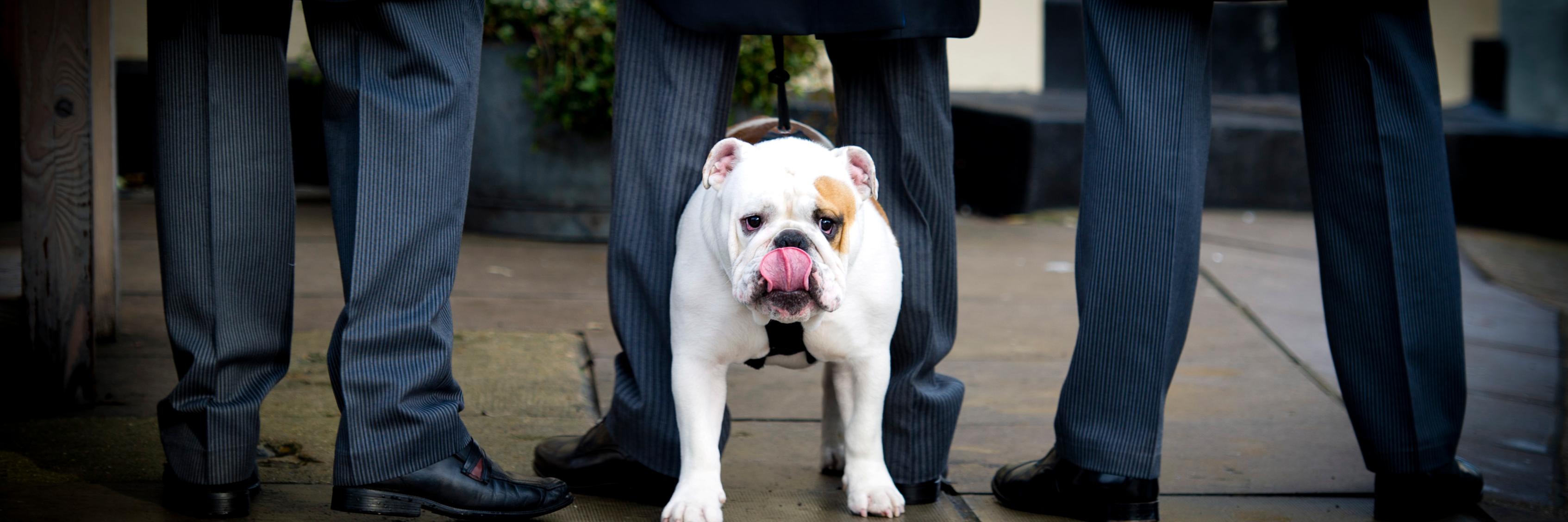 Jennifer Barton banner