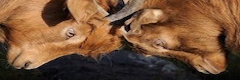 GetUn_Disputed's profile banner image
