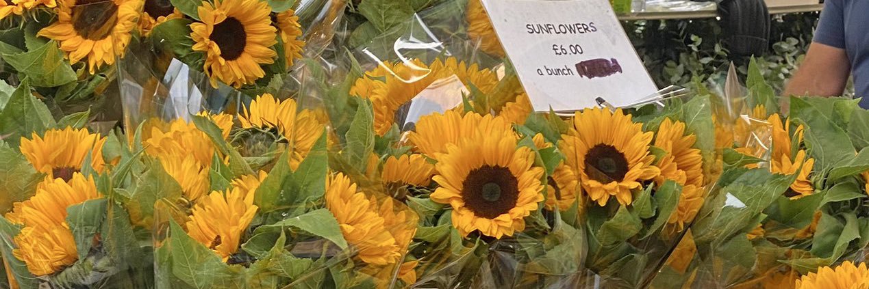 🧵🫑🥾✿ rock solid banner