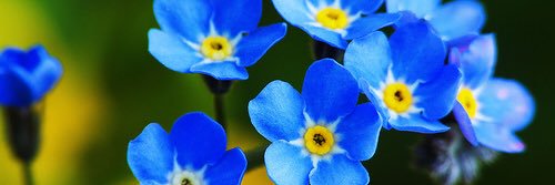 lesleyyoung62's profile banner image