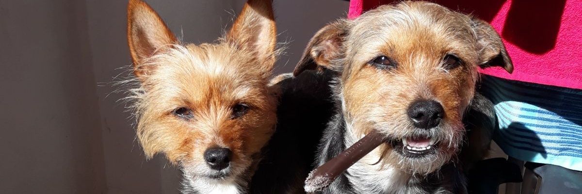 JoseAngelPitu's profile banner image