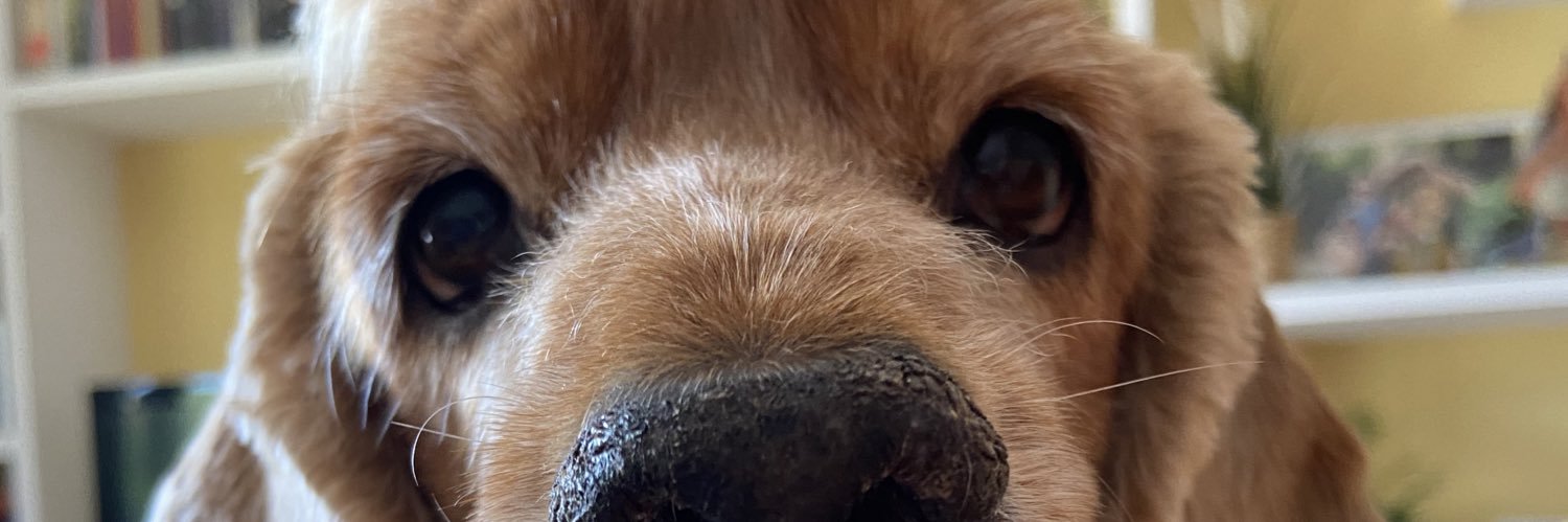 RebDelicious's profile banner image
