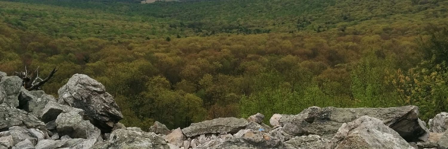 colleencolville's profile banner image