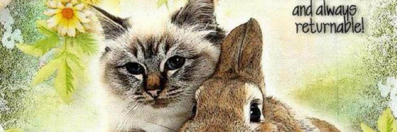 lindah901's profile banner image