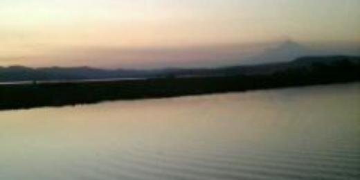 Estela_BENG's profile banner image