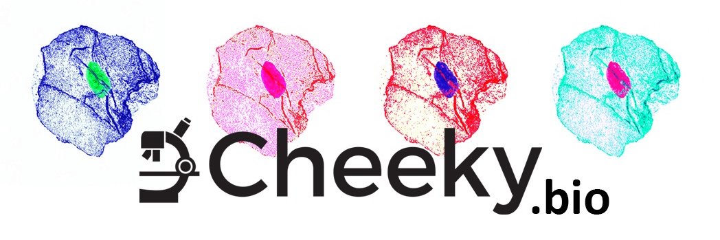 CheekyBioArt's profile banner image