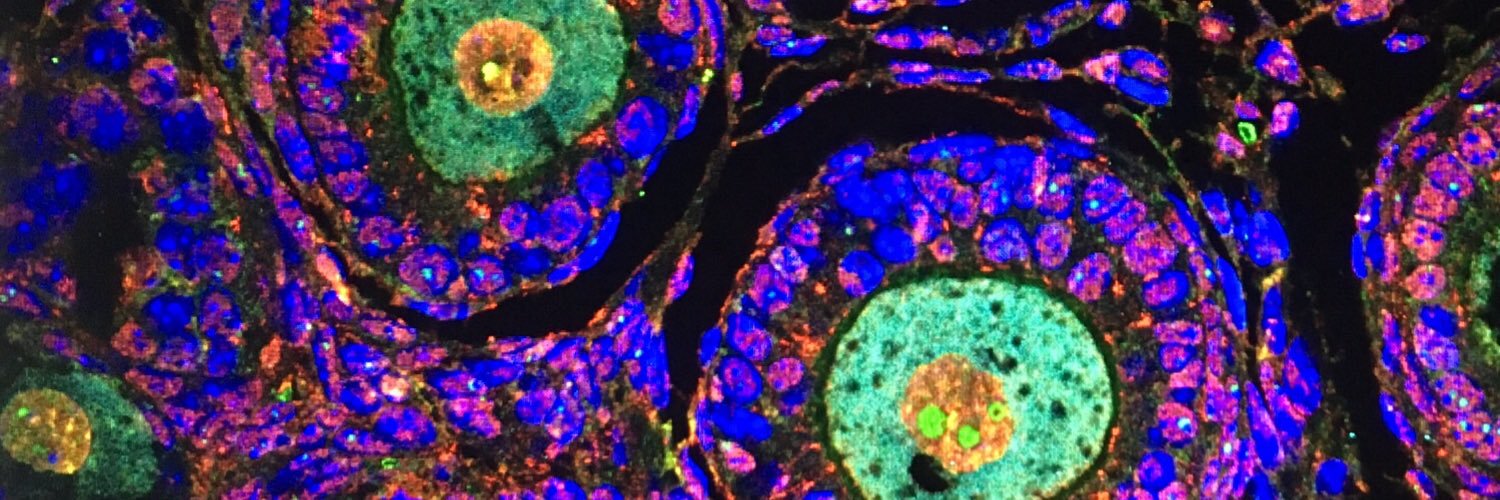 Jessica Stringer banner