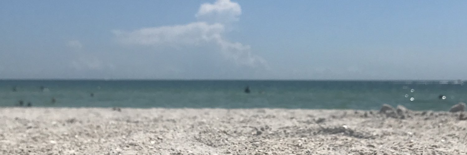 MariahCurryy's profile banner image