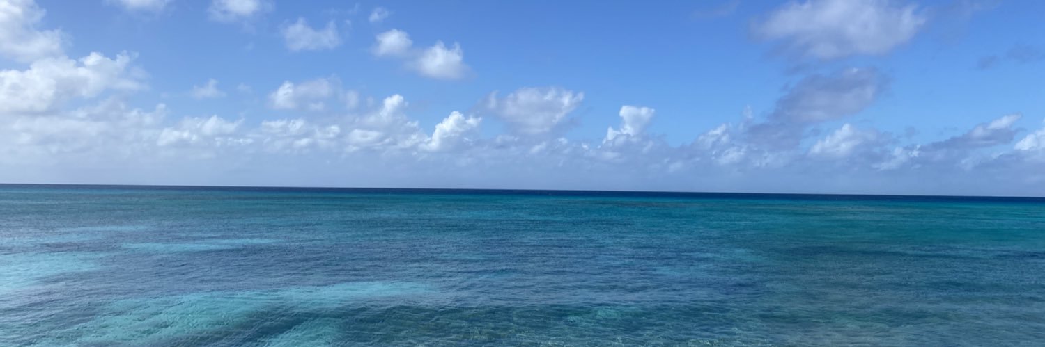 OceanChildBree's profile banner image