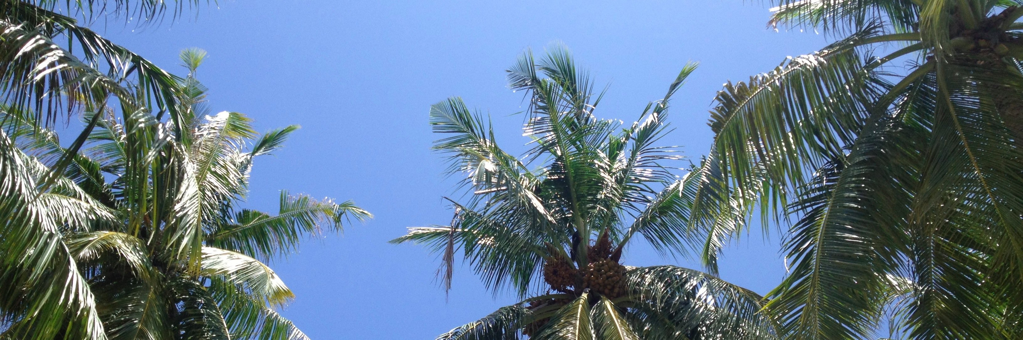 Charlie Launder banner