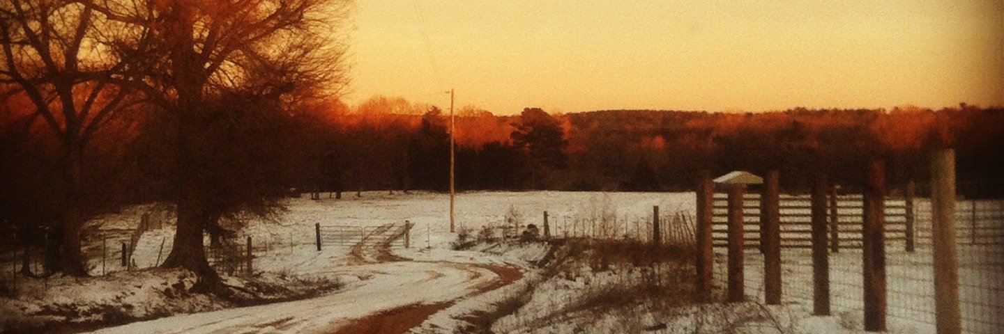 SumBug94's profile banner image