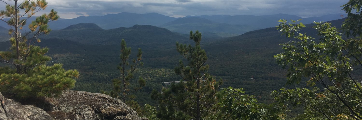 StephBoyd's profile banner image