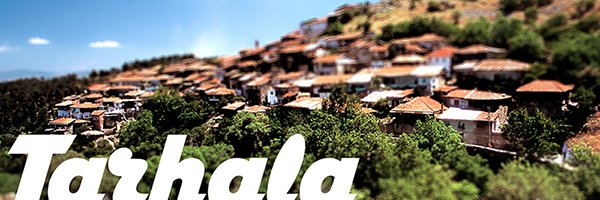 tarhalazeytin's profile banner image