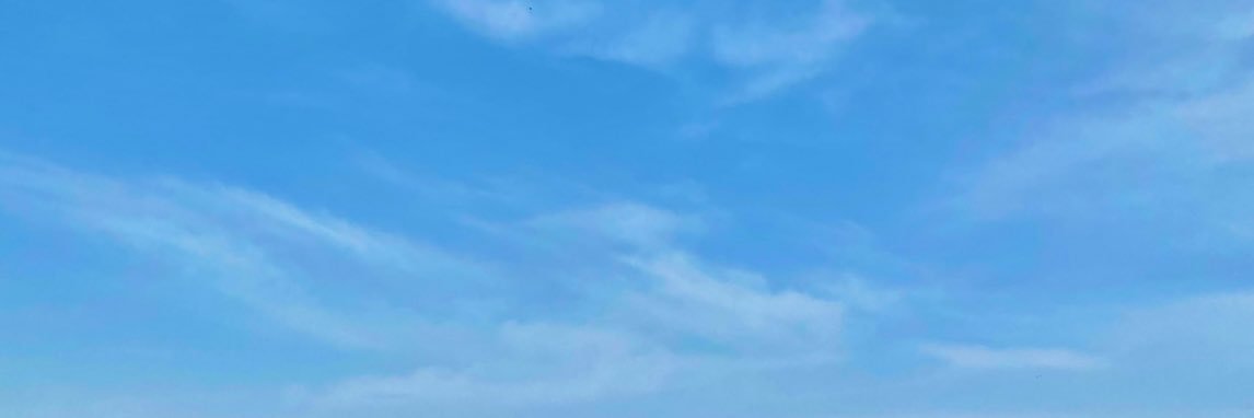 MajaliLama's profile banner image